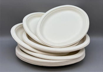 장례식장 일회용 식기 사용